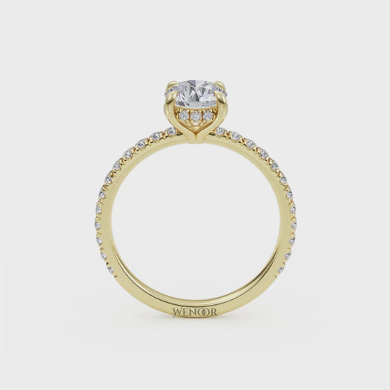 Women's round cut lab created diamond ring with hidden halo